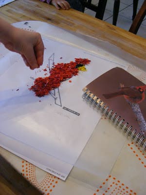 bird-craft-with-crayon