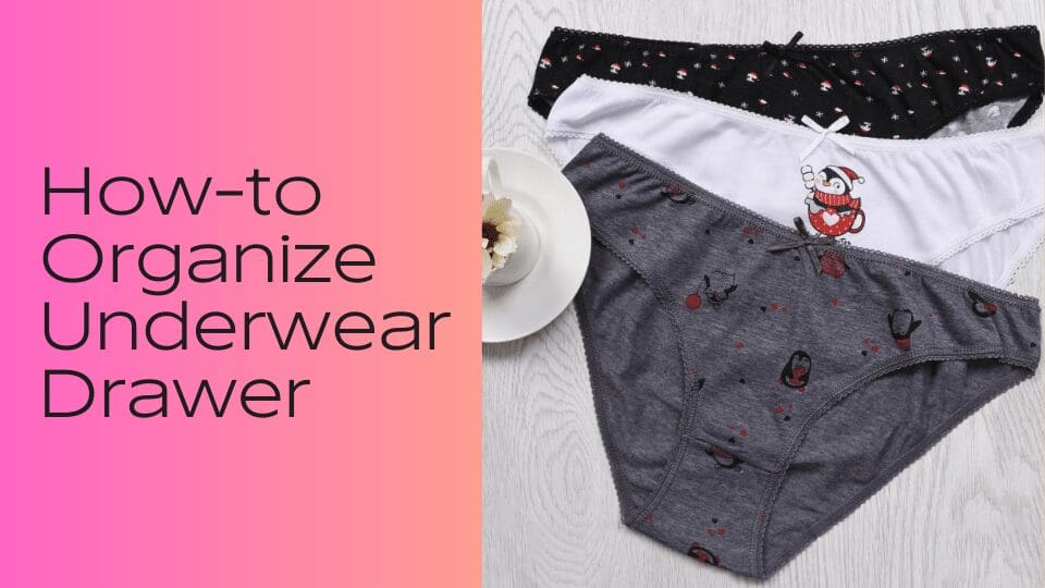 Drawer Organizer Ideas - Bra and Socks Organization - Also for  Undergarments, Underwear and Panties 