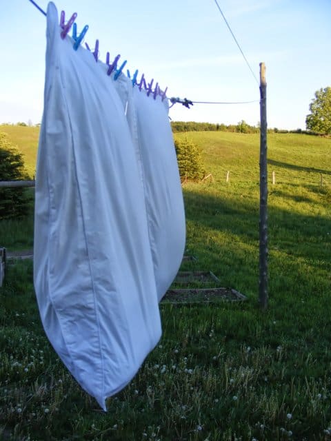 pillows-drying-outside-in-sun