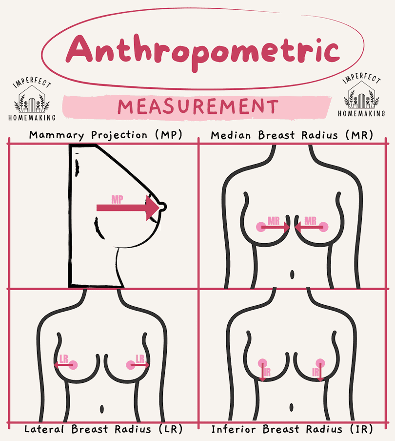 Anthropometric-Measurement-of-Breasts-Illustration