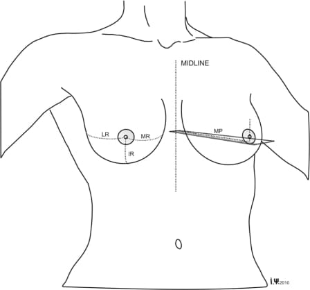 anatomic-anthropometric-measurement-guide