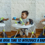 when-is-the-ideal-time-to-introduce-a-baby-walker
