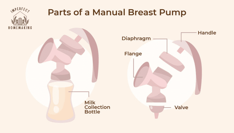 parts-of-a-manual-breast-pump