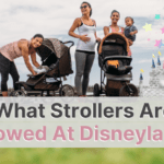 what-stroller-is-allowed-at-disneyland