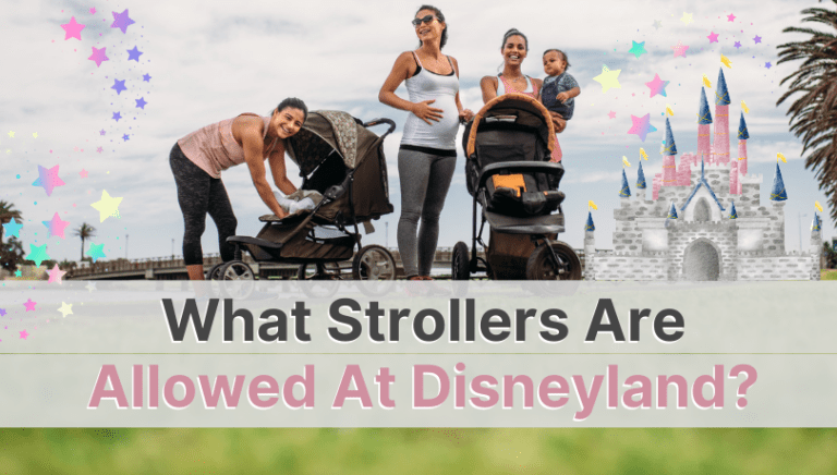Quick Guides: What Stroller Is Allowed At Disneyland?