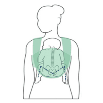 Illustration of a baby in a carrier, positioned on an adult's front in the M-position for baby-wearing.